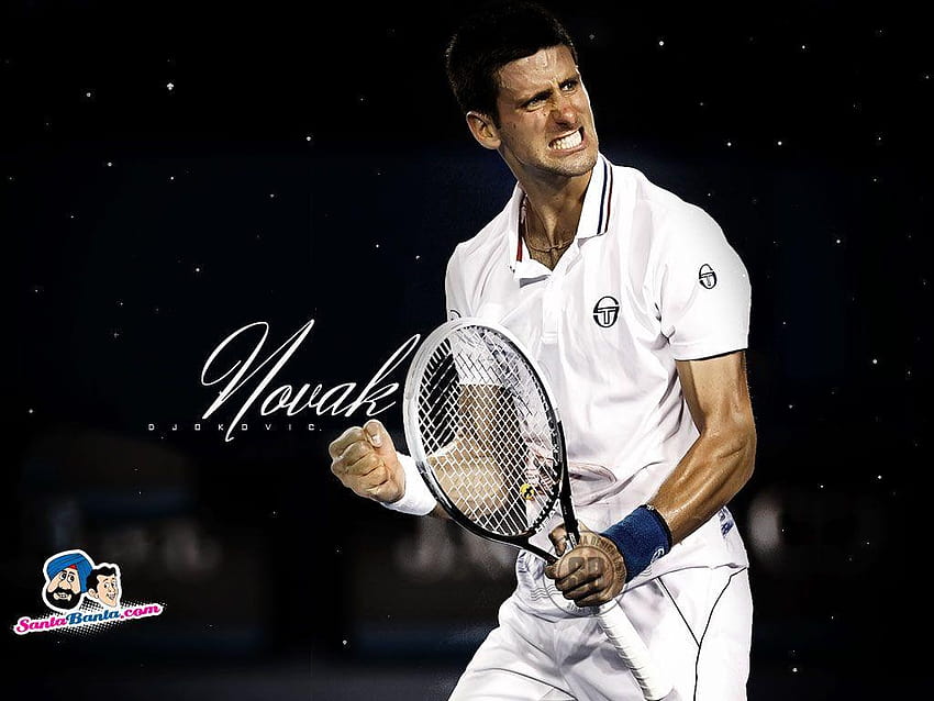 Novak Djokovic HD wallpaper