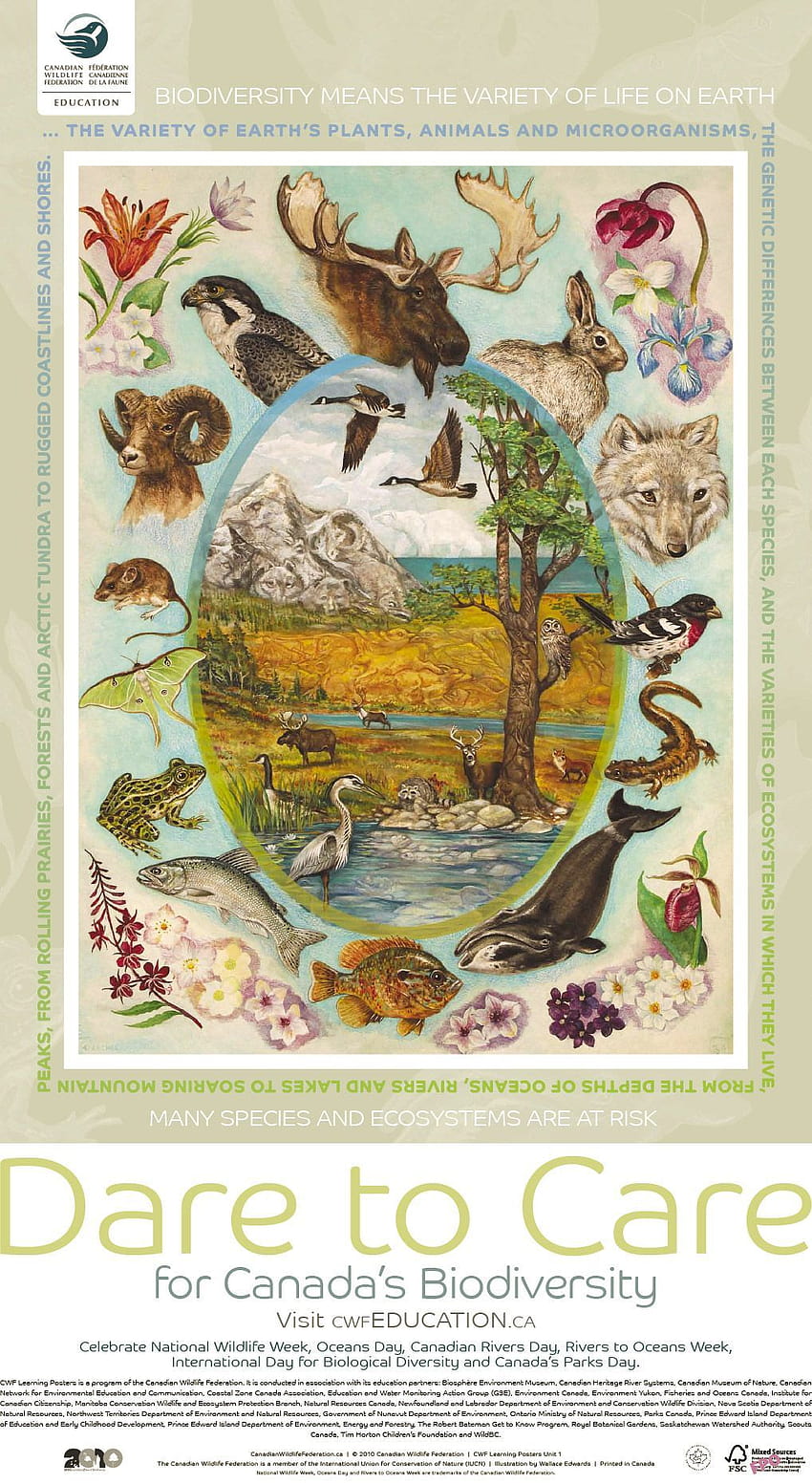biodiversity poster, international day for biological diversity HD phone wallpaper