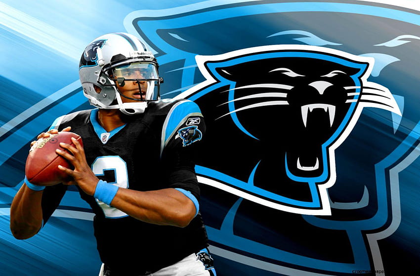 Nfl Team Carolina Panthers Cam Newton, nfl carolina panthers HD wallpaper