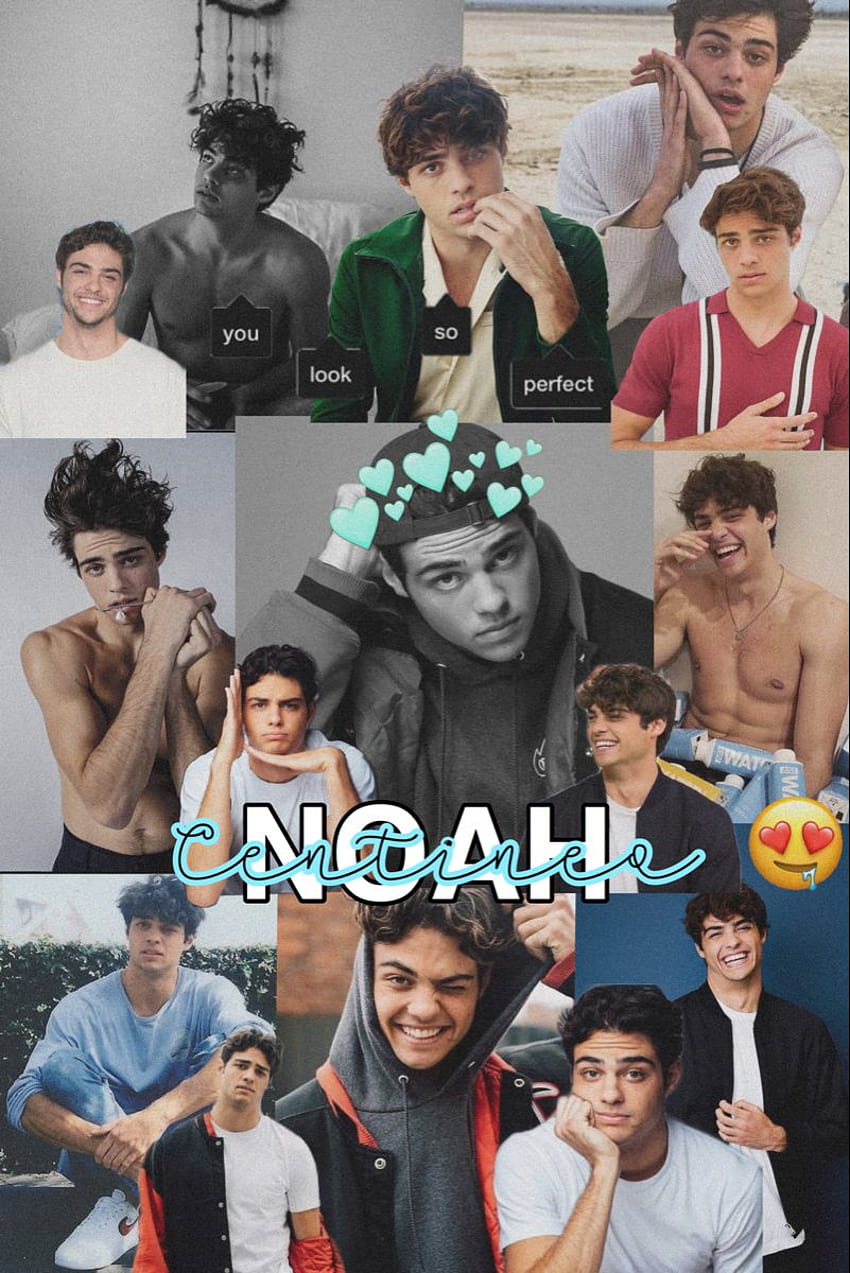 Noah Centineo Wallpaper 2020  Free download and software reviews  CNET  Download