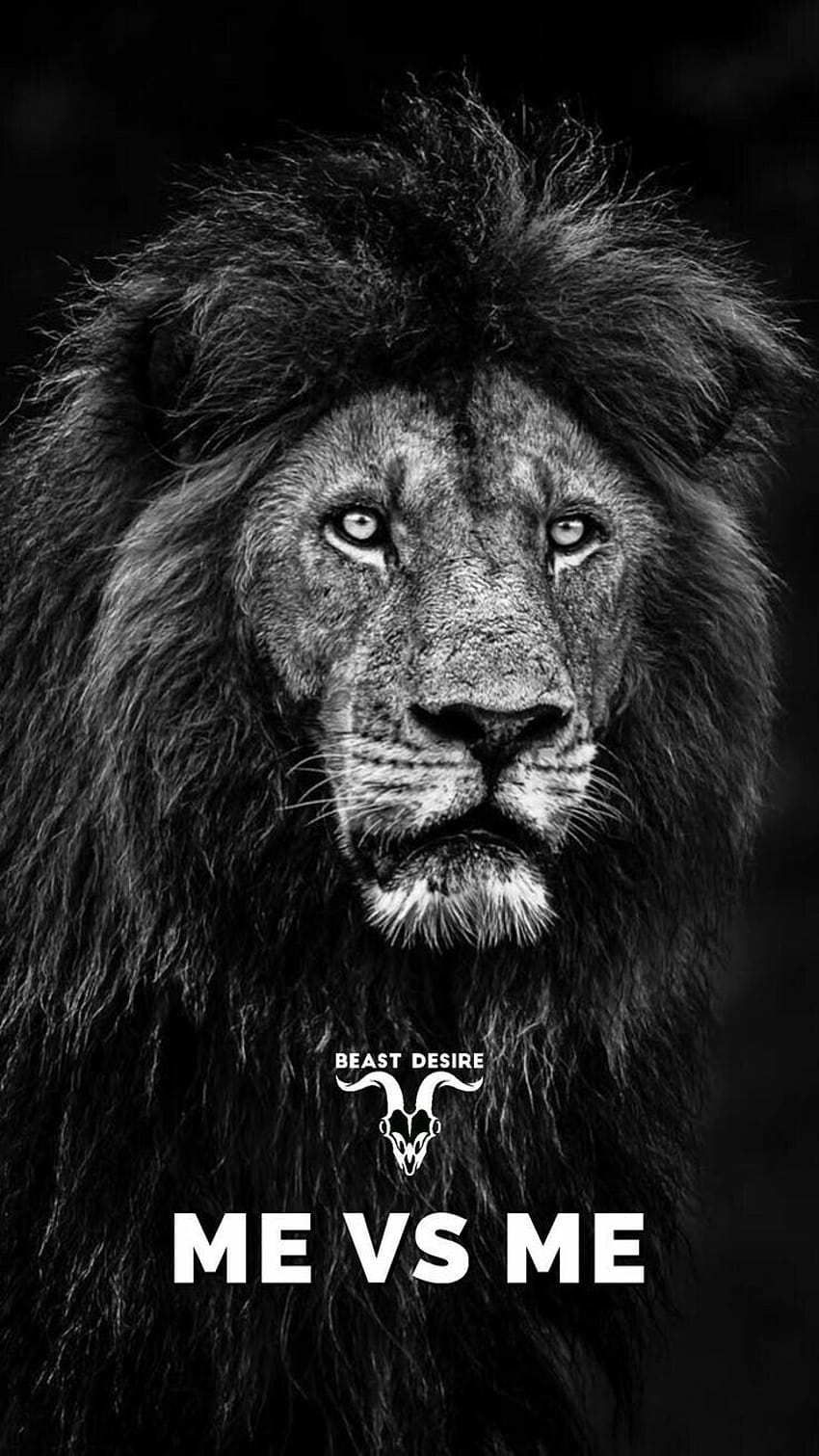 Lion Quotes, warrior quotes HD phone wallpaper