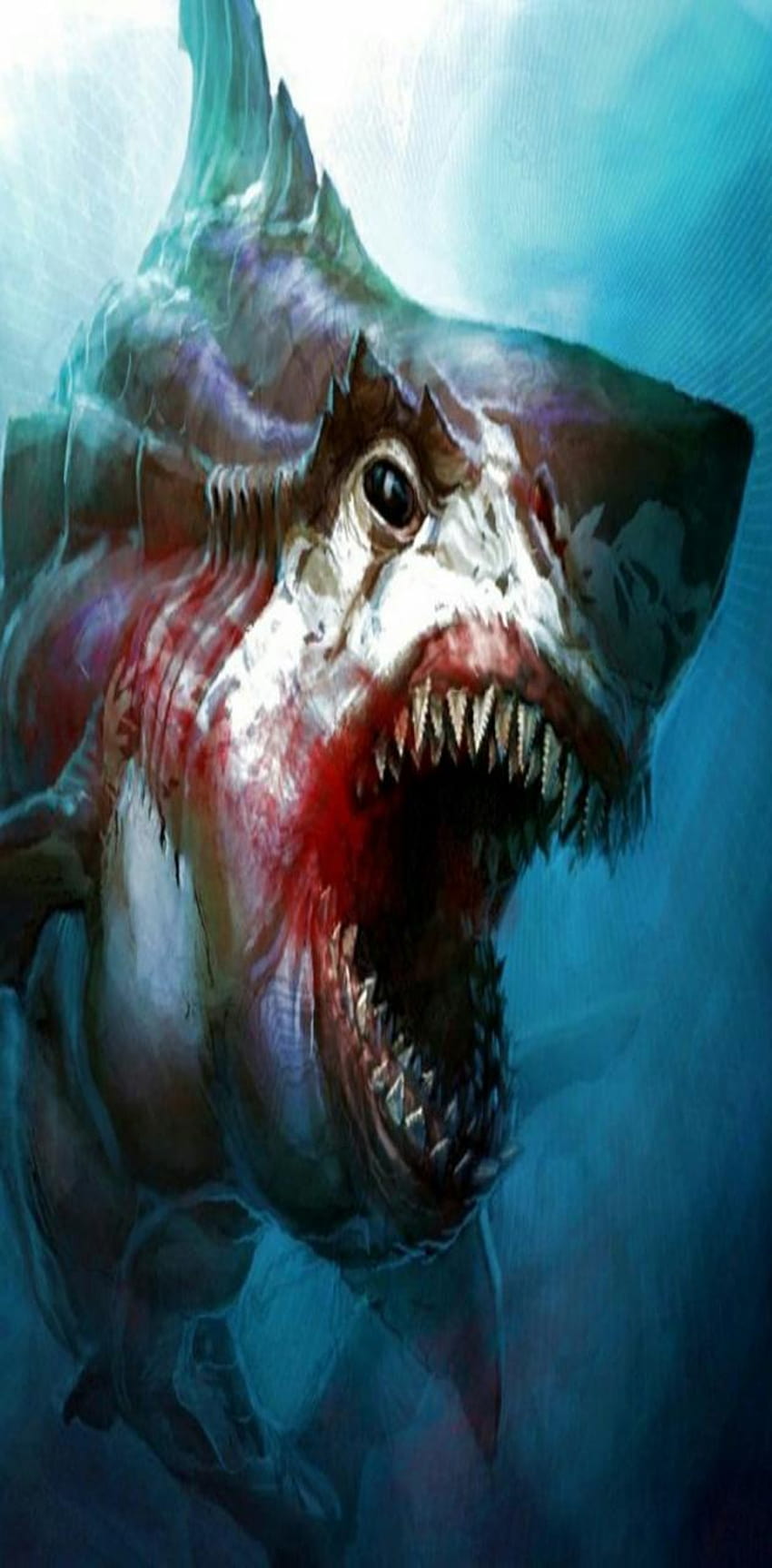 Zombie shark by spacecatmarine HD phone wallpaper