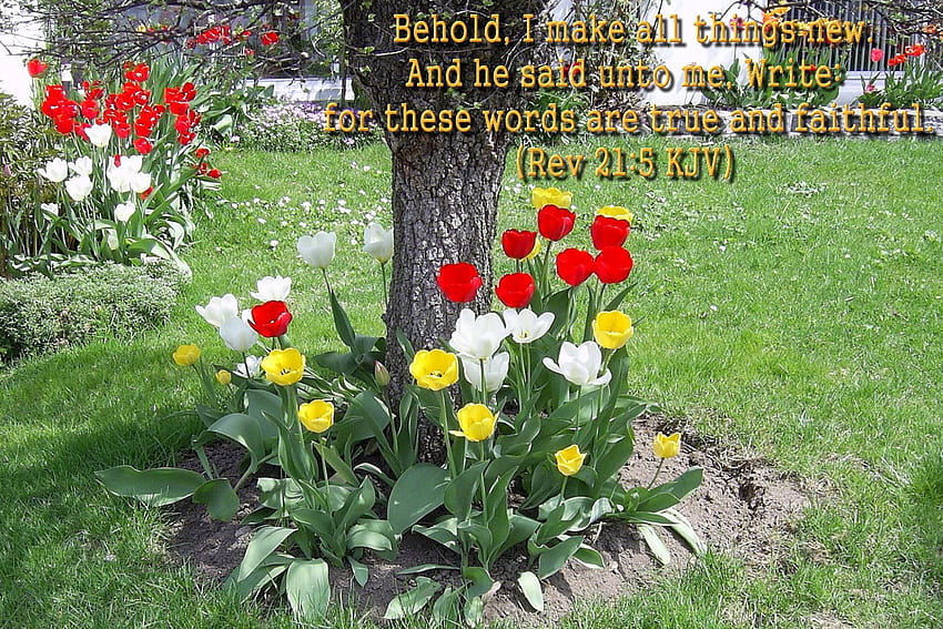 Библейски стихове за пролетни цветя, великденски цветя и библия HD тапет
