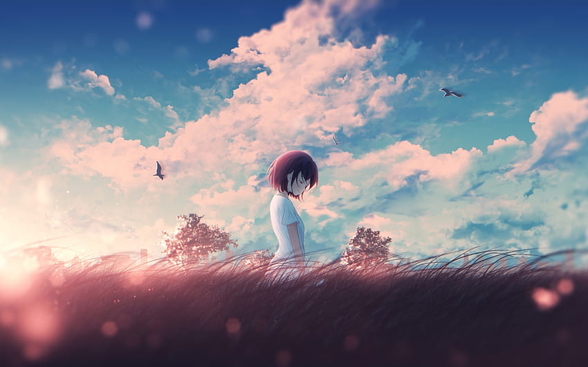 Anime Landscape, Mood, Sunlight, Field, Anime Girl, Relaxing, Clouds,  Scenery, chill anime nature HD wallpaper | Pxfuel