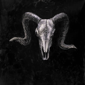 Goat skull HD wallpapers | Pxfuel