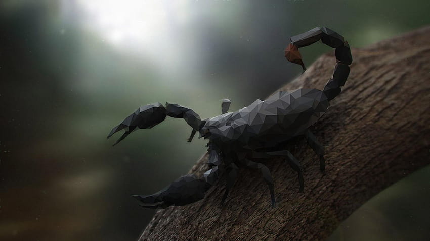 ธรรมชาติ สัตว์ ต้นไม้ ศิลปะดิจิตอล แมงป่อง โพลีต่ำ กิ่งไม้ ศิลปะแมงป่อง วอลล์เปเปอร์ HD