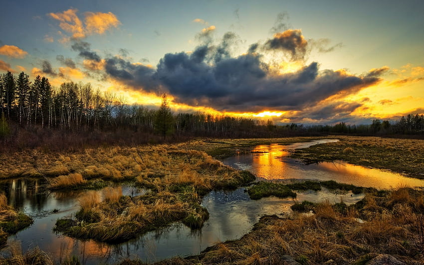 Wetlands, trees, clouds, sunset, grass, water stream, beautiful scenery 2560x1600 HD wallpaper