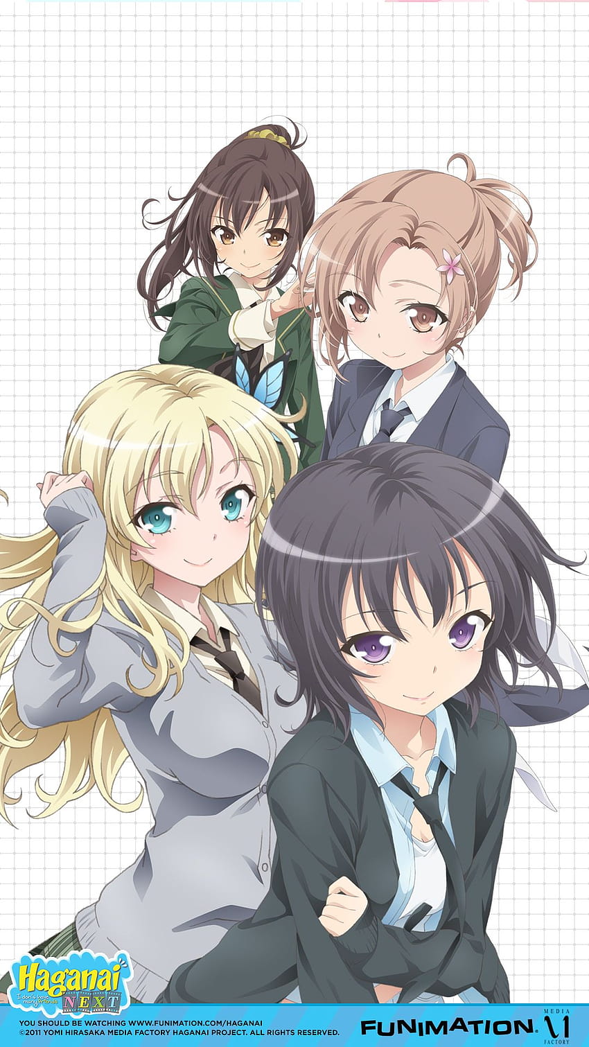 Haganai I Don't Have Many Friends Season 1 & 2 Anime + Movie DVD English  Dubbed, how many episodes in strike the blood season 5 - thirstymag.com