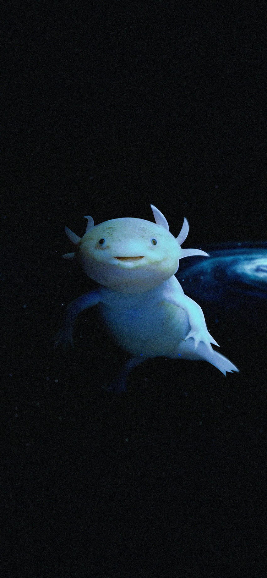 Arrière-plans de téléphone que je me suis faits : axolotls, axolotl bleu Fond d'écran de téléphone HD