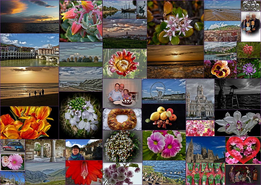 : kolaj, Bahar, SANAT, bitki, bitki örtüsü, taçyaprağı, Gelenek, bilgisayar , Çiçekçilik, montaj, Çiçek Düzenleme, Çiçek deseni, Roscondereyes, Floresymas, amigosdeflickr, Viajeainglaterra, Resumena o2014, Calendariodeadviento2014, Kolajlar bahar HD duvar kağıdı