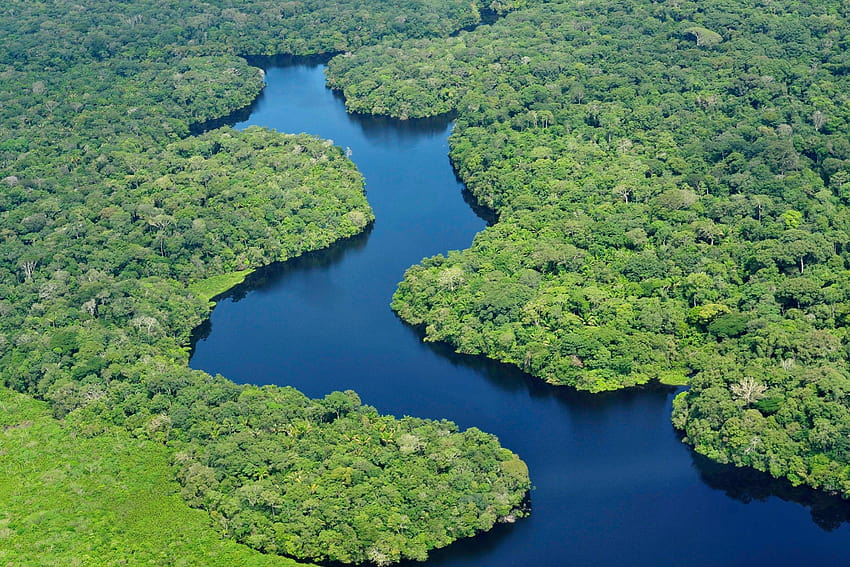 Rivers: Amazon River Nature Brazil Forest Of Beautiful For, amazon forest HD wallpaper