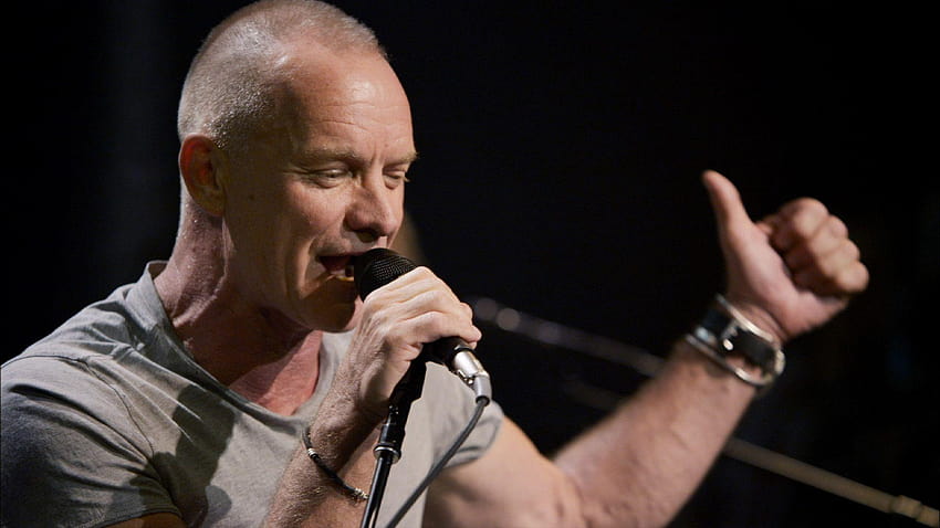 Sting: El último barco, músico de Sting fondo de pantalla