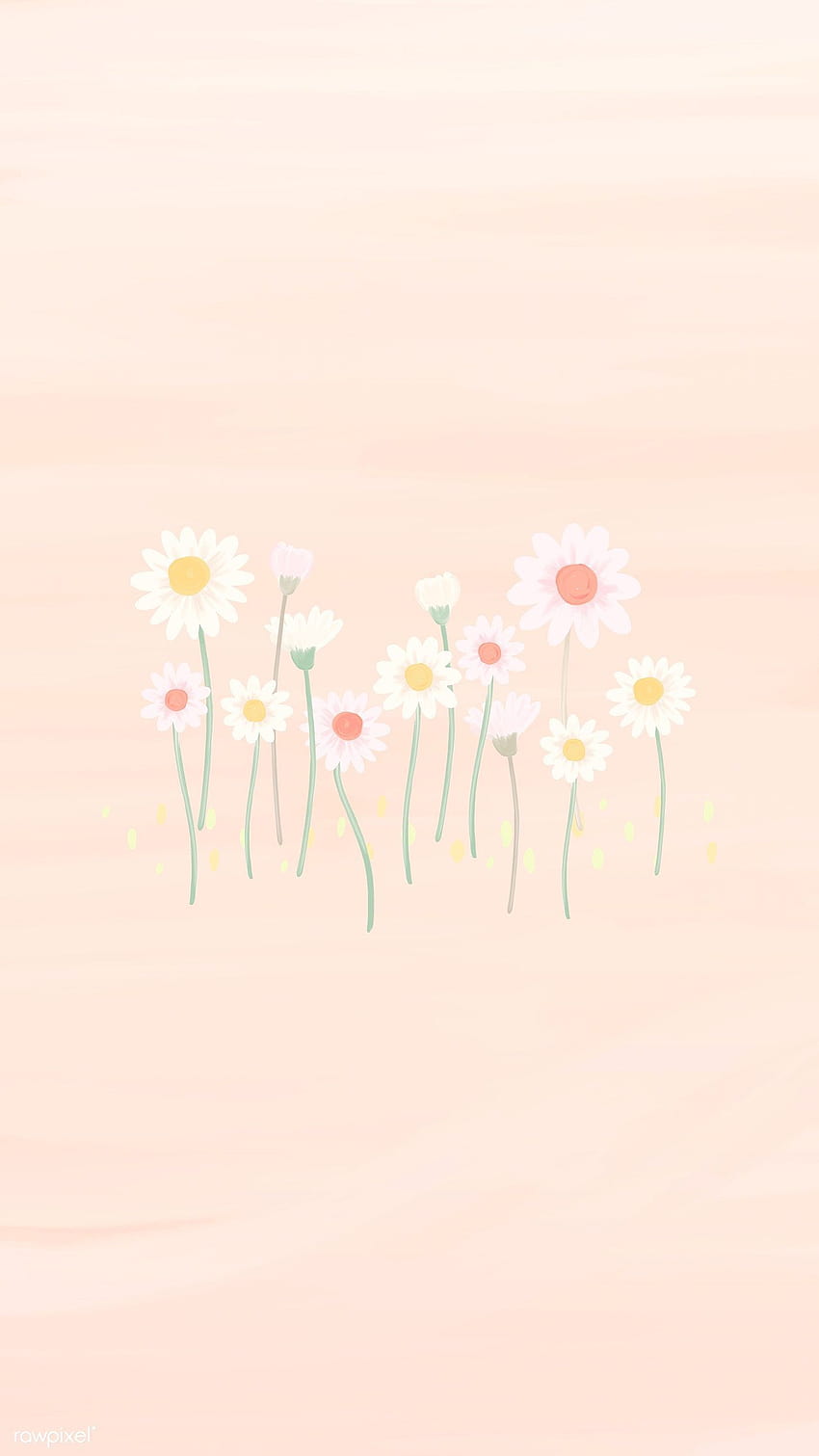 premium vector of Hand drawn daisy mobile phone vector, spring minimalist phone HD phone wallpaper