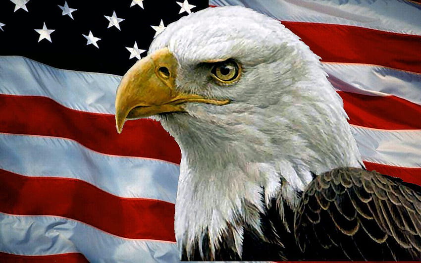 bald eagle with american flag, the american eagle HD wallpaper