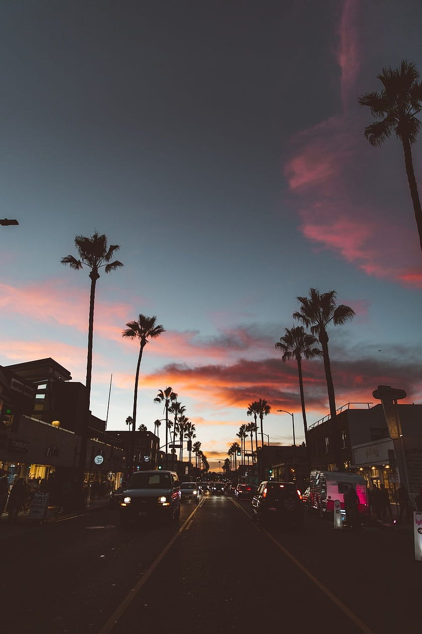 Sunset Bulvarı Los Angeles, hızlı bulvar HD telefon duvar kağıdı