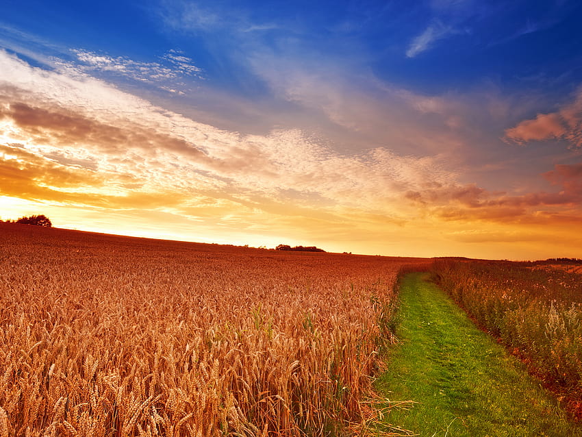 Country Farm Backgrounds Mitt romney might be a HD wallpaper