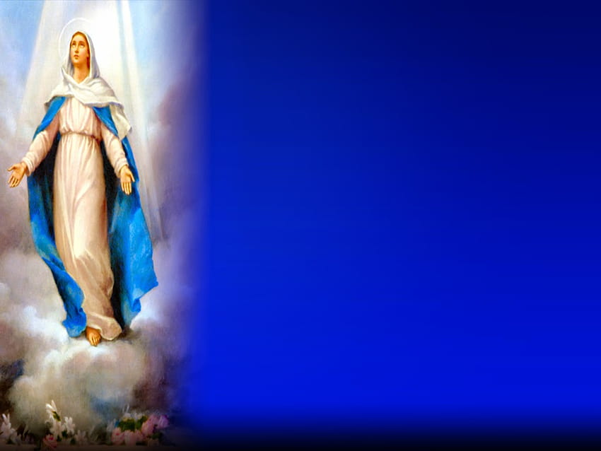Holy Mass Blessed Virgin Mary Assumption [1024x768] for your , Mobile & Tablet, สมมติฐานของแมรี่ วอลล์เปเปอร์ HD