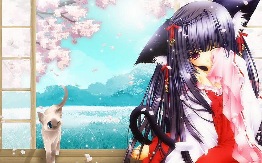 3 Anime Cat Girl, sweetly kawaii best anime girls HD wallpaper