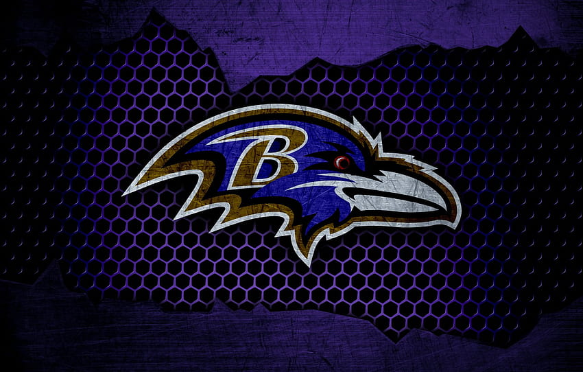 deporte, logo, NFL, fútbol americano, Baltimore Ravens, sección спорт, ravens football fondo de pantalla