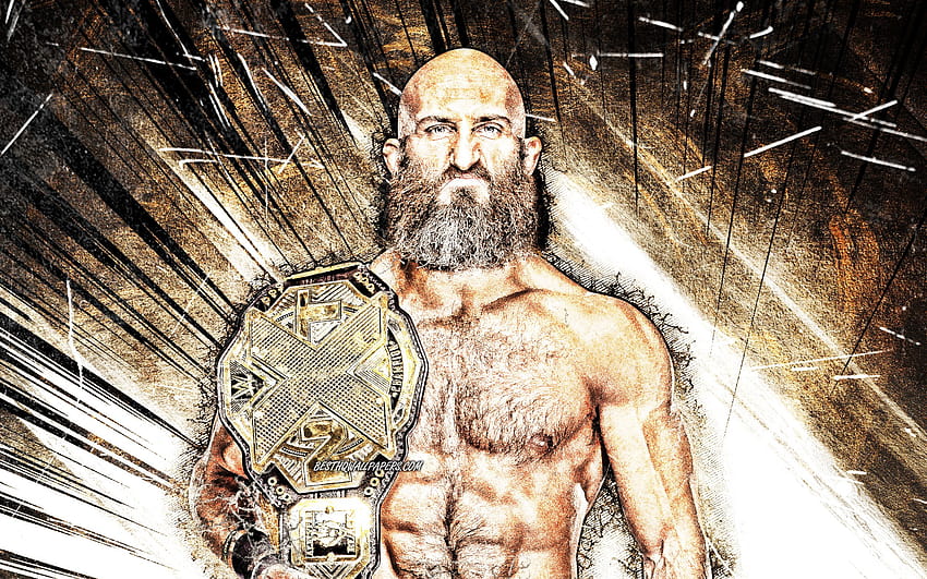 Tommaso Ciampa, WWE, grunge art, american wrestlers, wrestling, brown abstract rays, Tommaso Whitney, wrestlers with resolution 2500x1563. High Quality, wwe art HD wallpaper