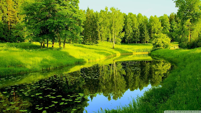 Spring + green = magical place [ ], magical spring HD wallpaper