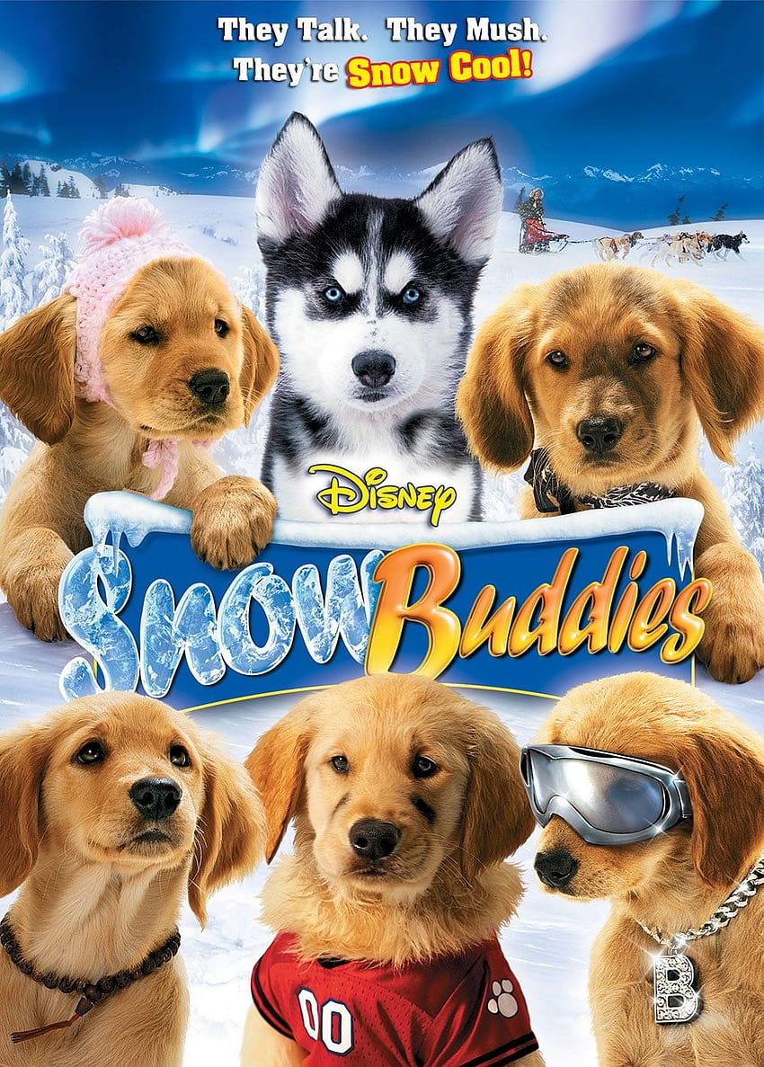 Buddies Official Site, snow buddies rosebud HD phone wallpaper