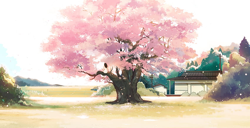 Anime-Landschaft, Landschaft, rosa Blätter, Baum, Kirschblüte, Mädchen, rosa Baum-Anime HD-Hintergrundbild