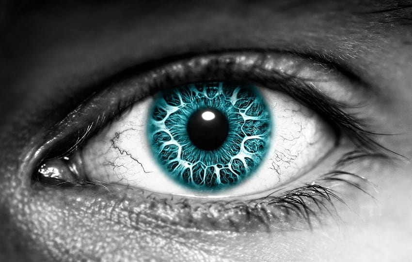 eyes, color, black and white, the pupil , section макро HD wallpaper