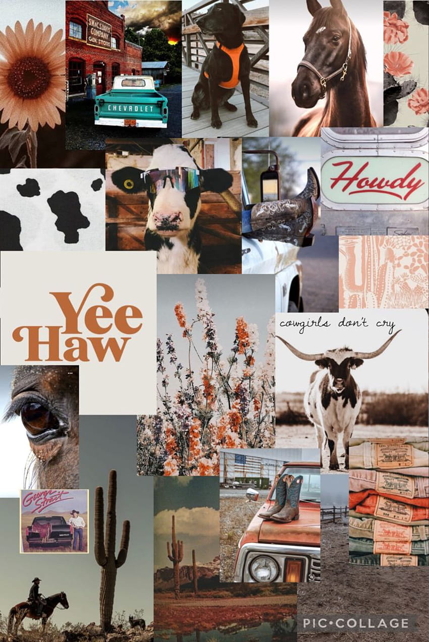 190 idee per di ragazze di campagna/fattoria/tramonti, collage di campagna Sfondo del telefono HD