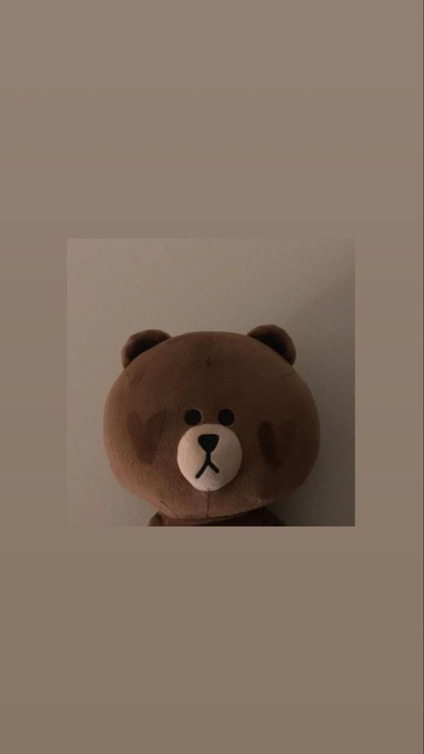 ours mignon, ours en peluche esthétique Fond d'écran de téléphone HD