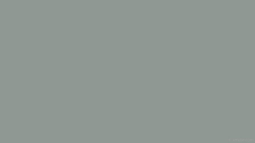 Solid Gray, light grey plain HD wallpaper