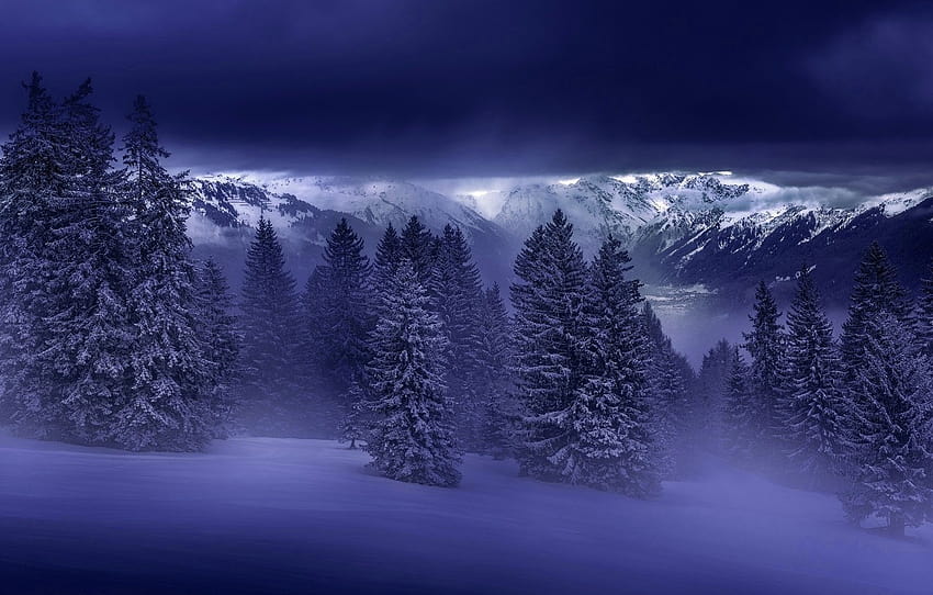 Winter, Mountains, Snow, Forest, Spruce forest , section природа, winter forest HD wallpaper