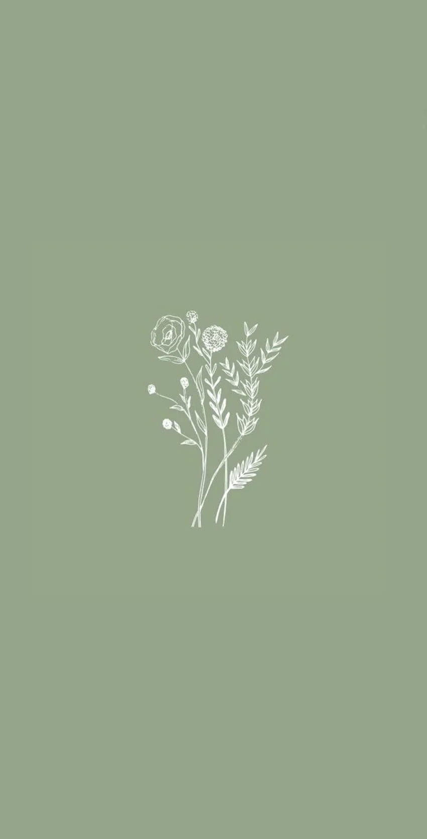 bunga iphone, estetika hijau zaitun wallpaper ponsel HD