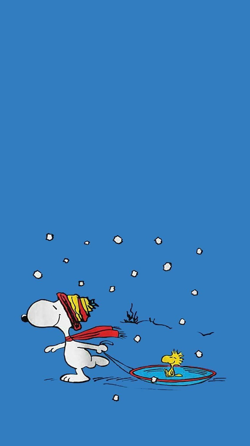 Charlie Brown Winter Wallpapers  Top Free Charlie Brown Winter Backgrounds   WallpaperAccess