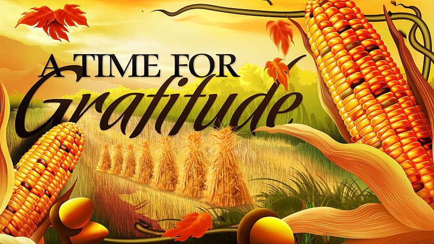 Feliz Día de Acción de Gracias Gratitud Comida Maíz Lo último fondo de pantalla