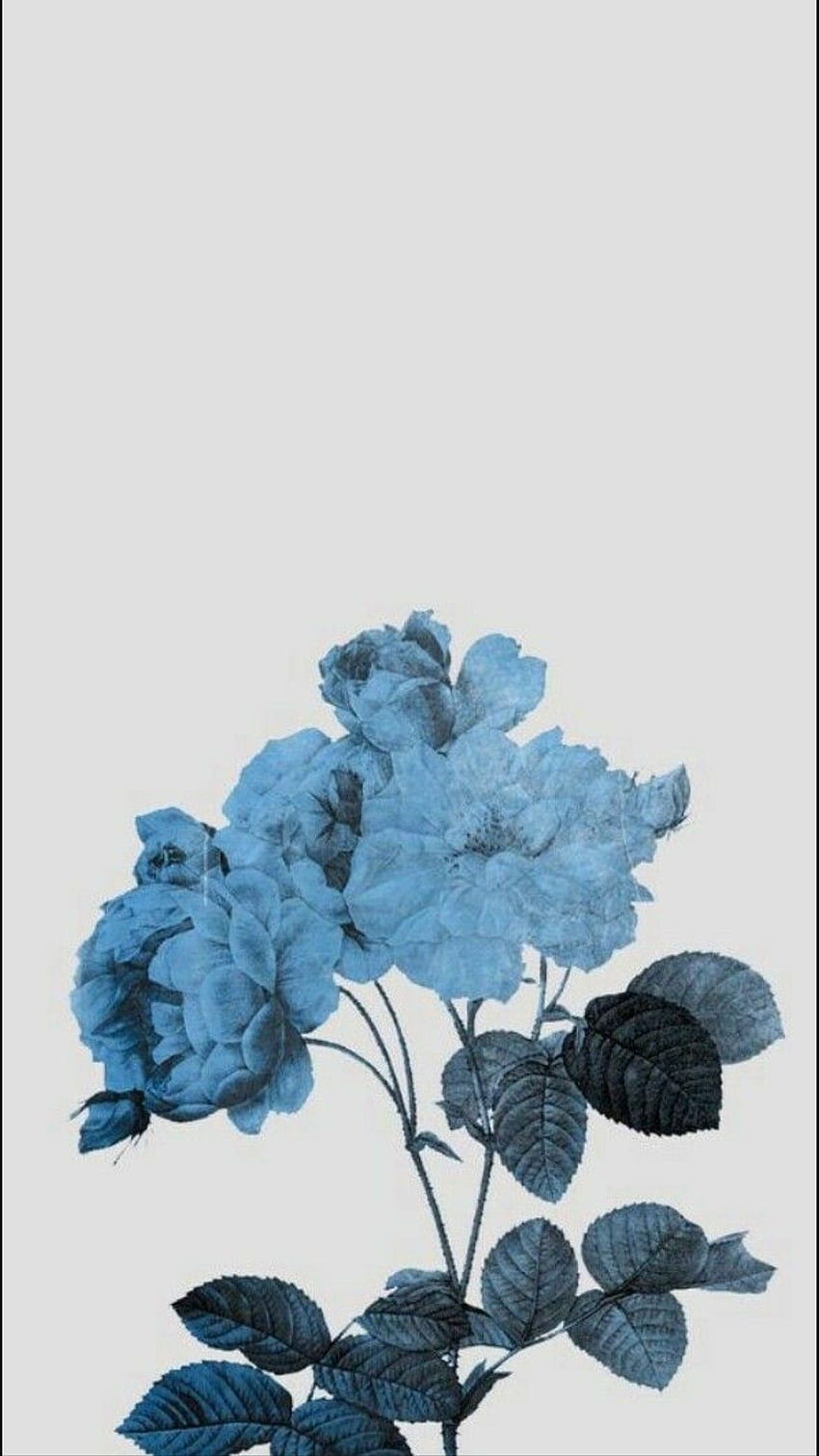 Blue Aesthetic Flower, dark blue flower aesthetic HD phone wallpaper ...