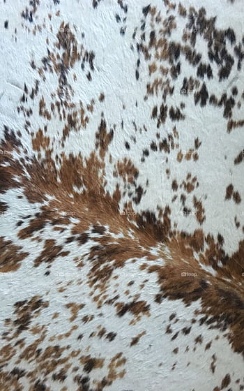 Cowhide Wallpapers  Wallpaper Cave