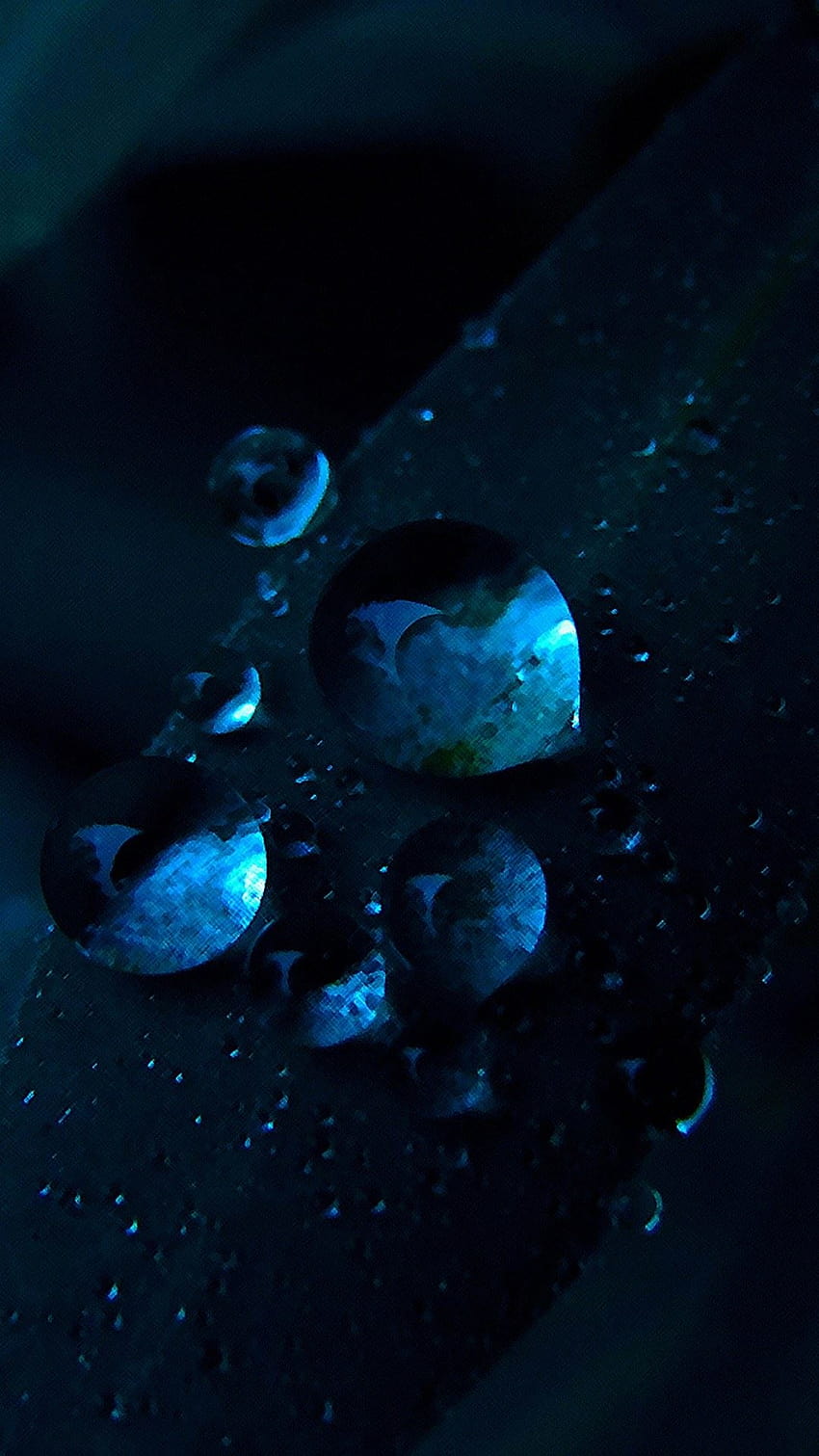 Macro Water Drops Dark Blue Grass iPhone 6 Plus, dark blue phone HD phone wallpaper