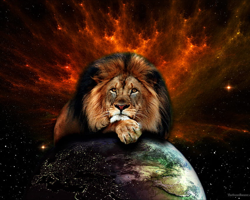 Löwe mit Krone und Becuo [1600x1200] für Ihr Smartphone, Ihr Mobiltelefon und Ihr Tablet HD-Hintergrundbild