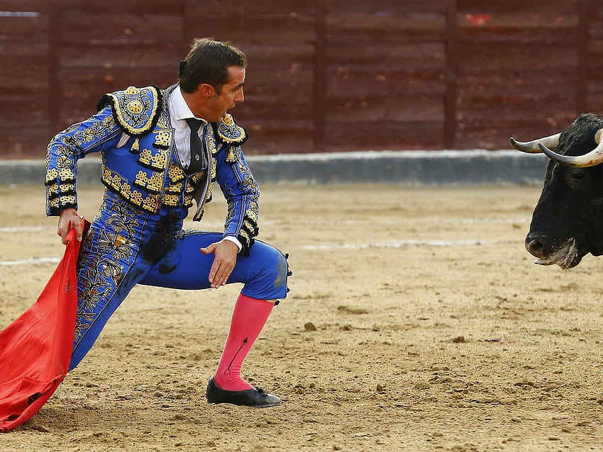 Coronavirus and culture wars: Spain's bullfighting industry faces a crunch point in 2022, bullfighter HD wallpaper