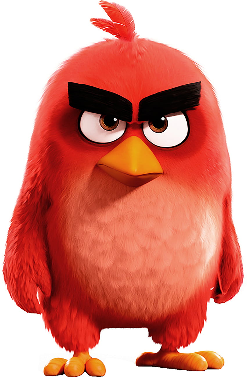 The Angry Birds Movie, mobile angry birds HD phone wallpaper