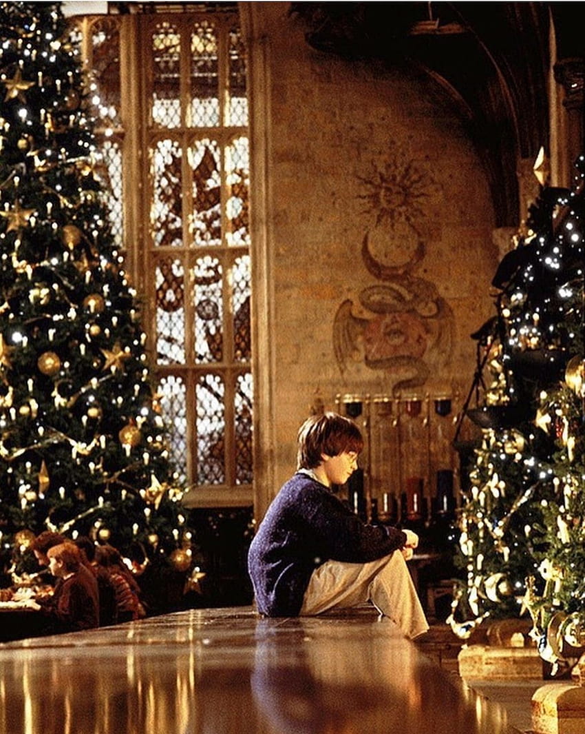 harry potter christmas and hogwarts image  Hogwarts christmas Christmas  desktop wallpaper Hogwarts aesthetic