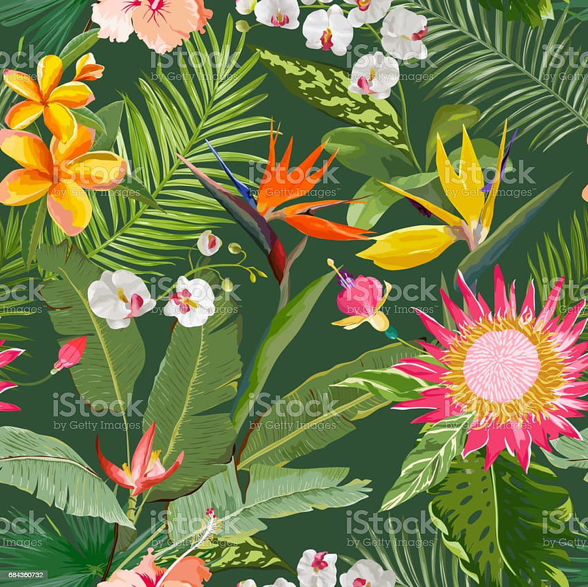 Tropikalny Bezszwowy Wektor Kwiatowy Lato Wzór Dla Tła Tekstury Kart Tekstylnych Stock Ilustracji Tapeta HD