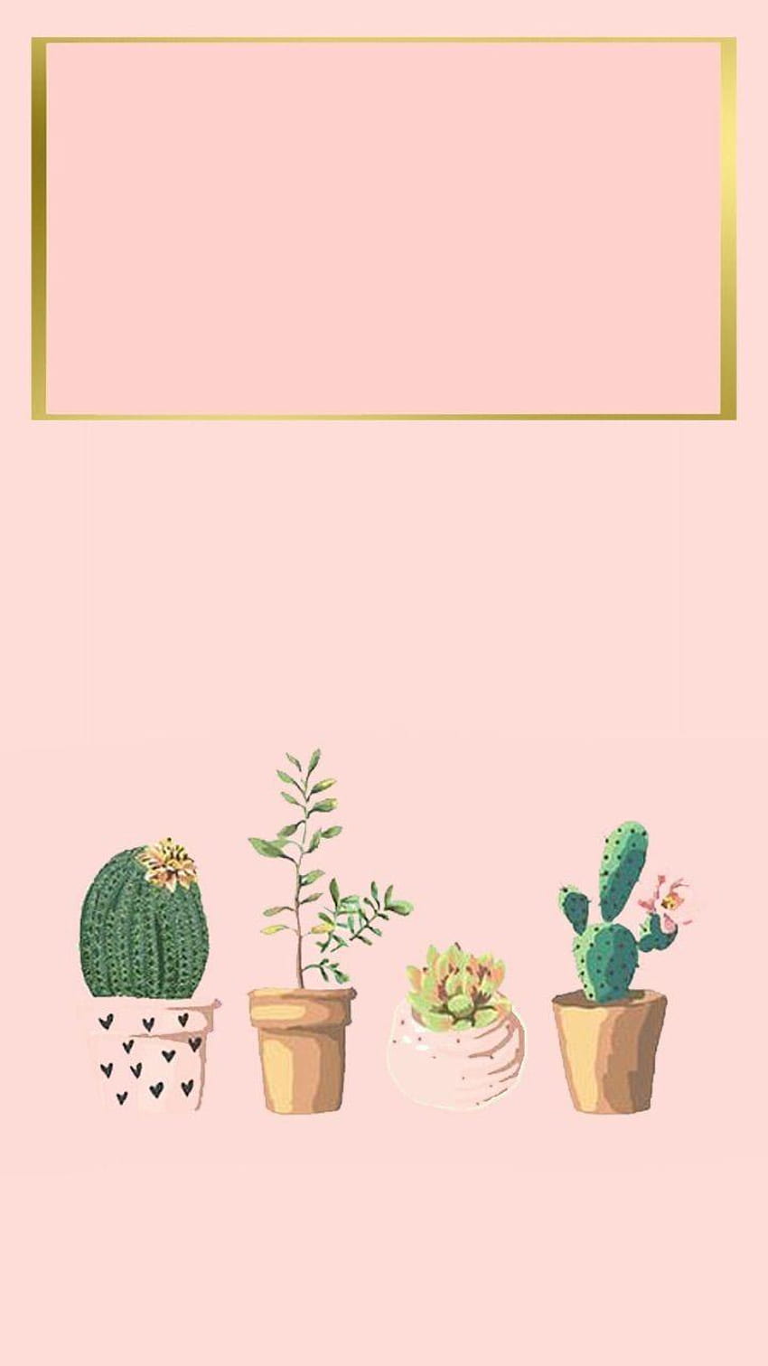 Aesthetic Kaktus Tumblr, aesthetic cactus profile pic HD phone