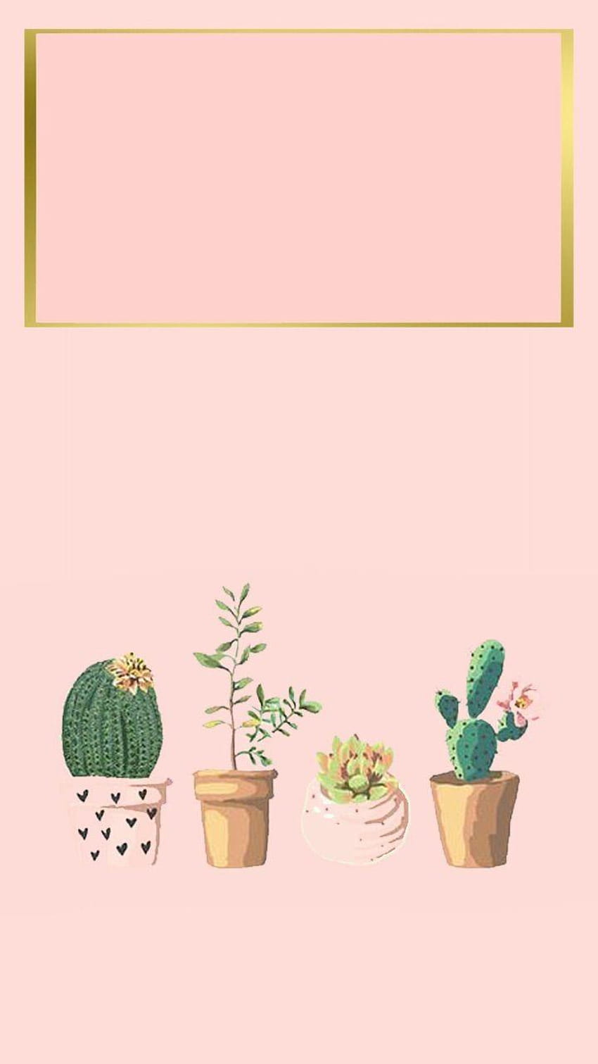 iPhone , iPhone background, succulent, cactus, rose gold succulent HD phone wallpaper