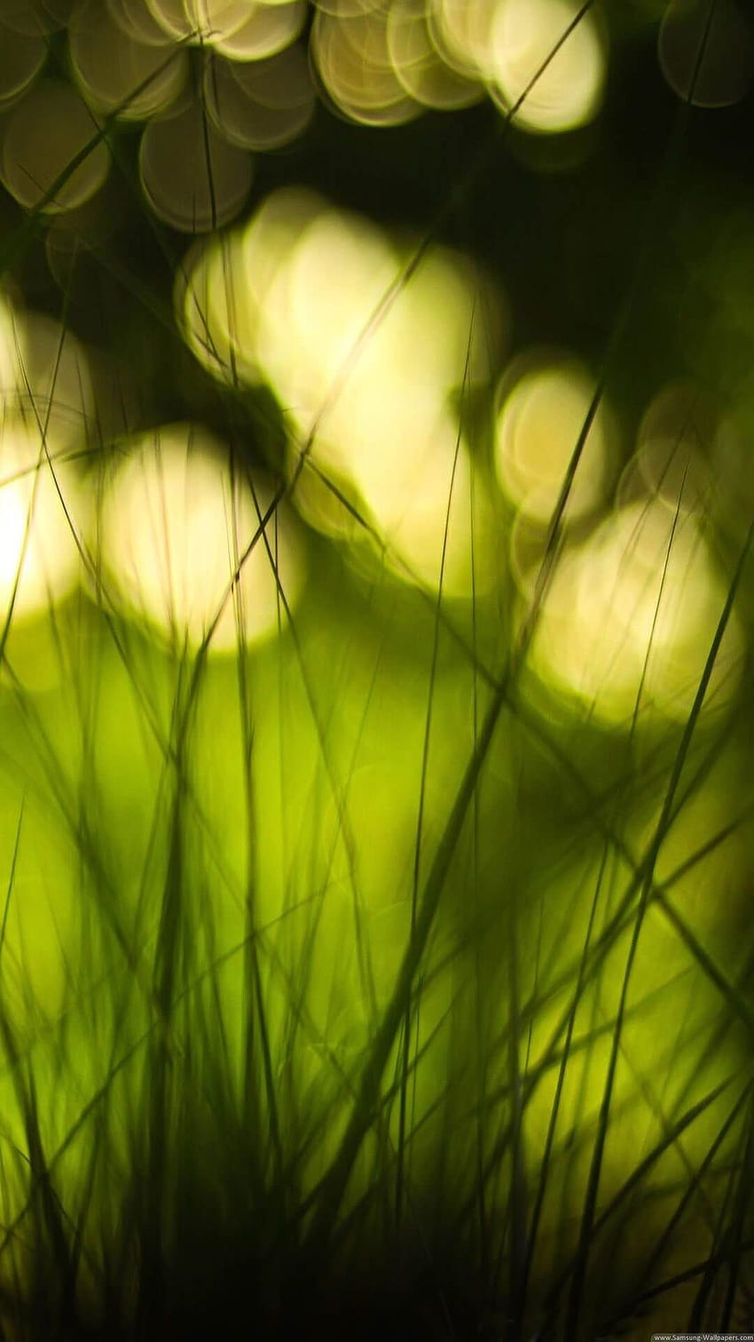 For Android Phones posted by Christopher Simpson, blur nature mobile HD phone wallpaper