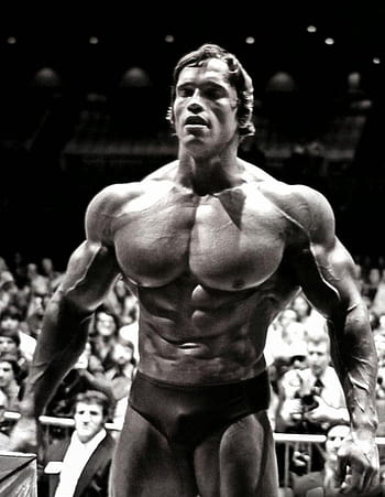 Download Free HD Wallpapers : Arnold Schwarzenegger Conquer ... Desktop  Background