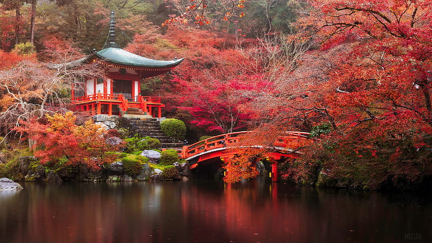 351512 Bridge, Fall, Japan, Kyoto, Nature, Pagoda, Park, Pond, Tree, autumn kyoto HD wallpaper