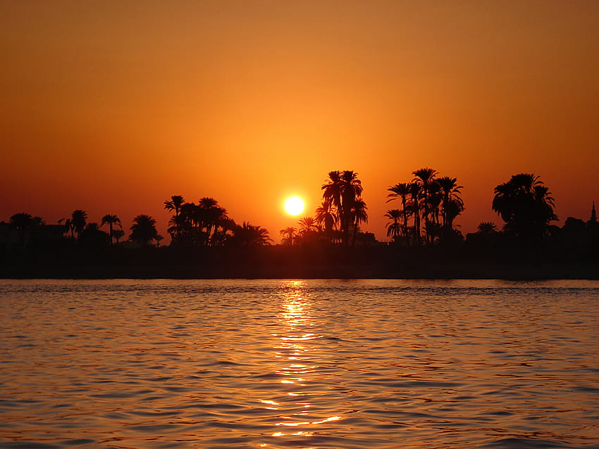 : trip, travel, trees, sunset, vacation, orange, Sun, holiday, reflection, tree, history, water, beautiful, river, boats, graphy, boat, warm, Egypt, palm, Nile, palmtrees, stunning, romantic, historical, Luxor, tranquil, river nile HD wallpaper