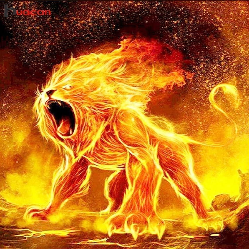 Lion Fire, fogo vs leões de gelo Papel de parede de celular HD